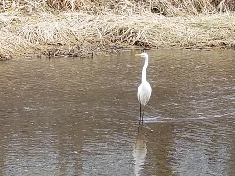 20181223_115333