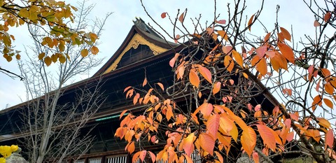 20201107_132916
