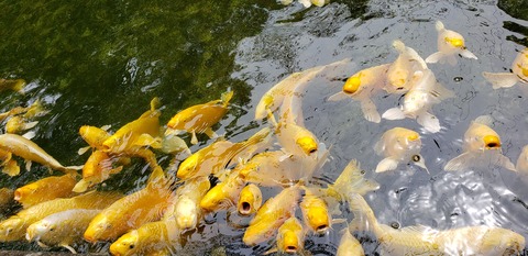 20190713_132612