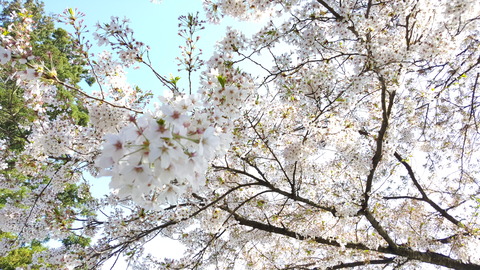 20170423_145015