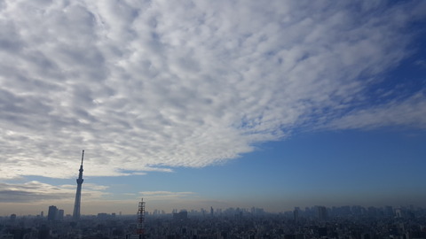 20161112_081049