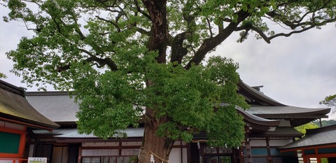 20190527_105457