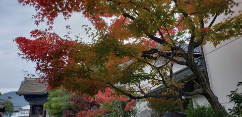20201107_124032