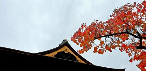 20201107_155843