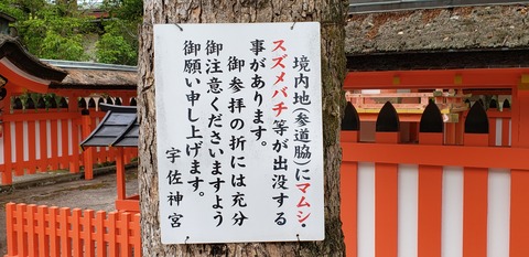 20190527_104035