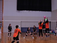 DSCN6734