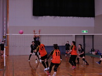 DSCN6735