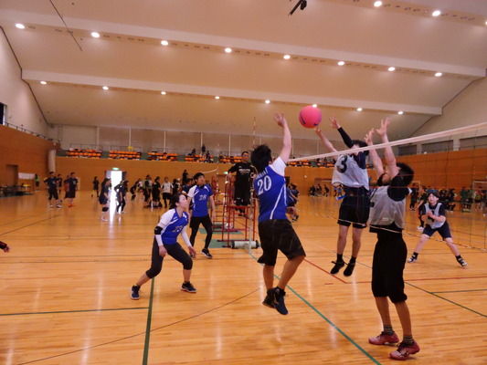 DSCN5334