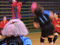 DSCN6240