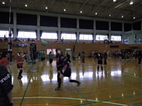 DSCN6447
