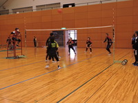 DSCN7794