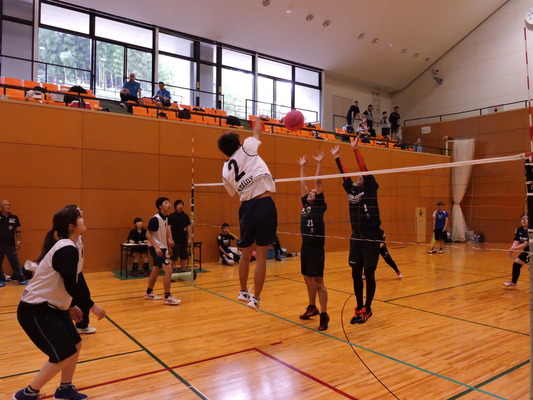 DSCN5295