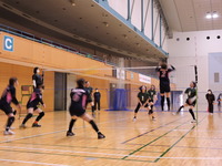 DSCN6347