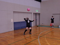DSCN6784