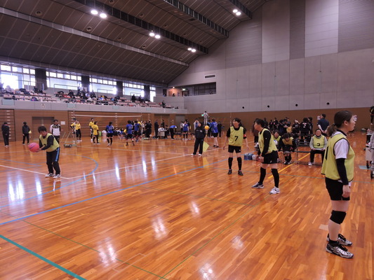 DSCN5648