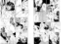 1594013642072s2