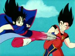 チチは武道家としての活躍を ドラゴンボールスレ ふたばに書き込む勇気がないので ここで勝手に参加するブログ チチは武道家としての活躍を ドラゴンボールスレ ふたばに書き込む勇気がないので ここで勝手に参加するブログ