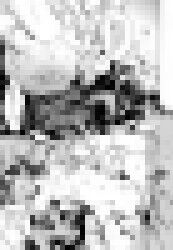 1594009310025s2