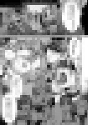 1594009996501s2