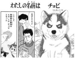 動物のお医者さんスレ ふたばに書き込む勇気がないので ここで勝手に参加するブログ 動物のお医者さんスレ ふたばに書き込む勇気がないので ここで勝手に参加するブログ