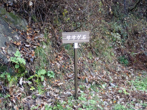 PC090012