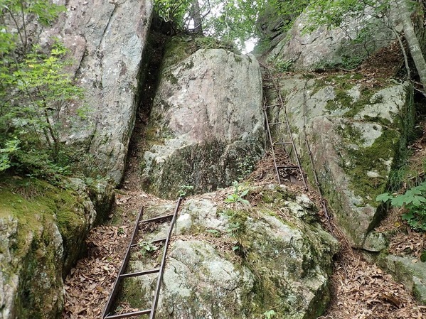 P7210039