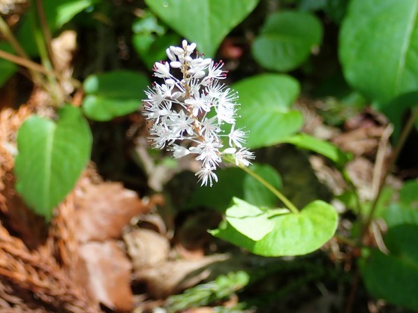 P5060054