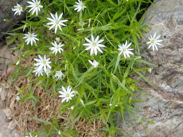 P7080178