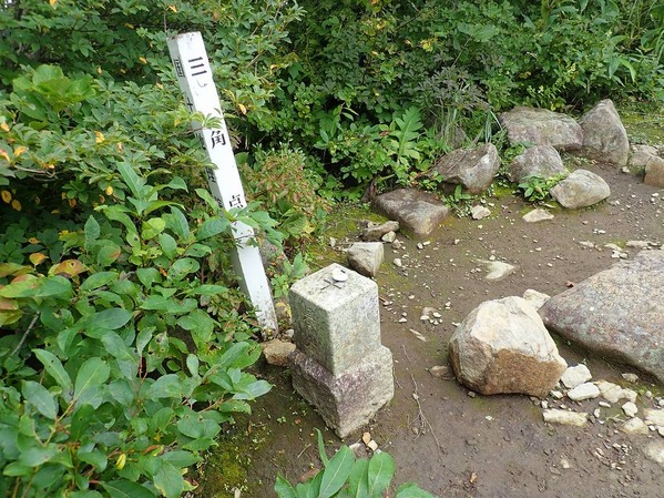 P9050066