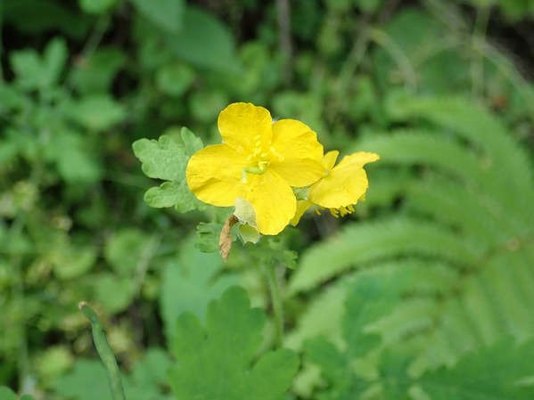 P6010176