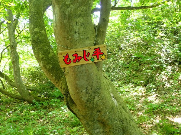 P5250049