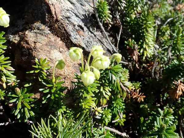 P7080161