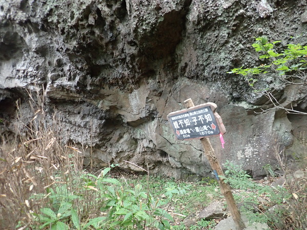 PA060151