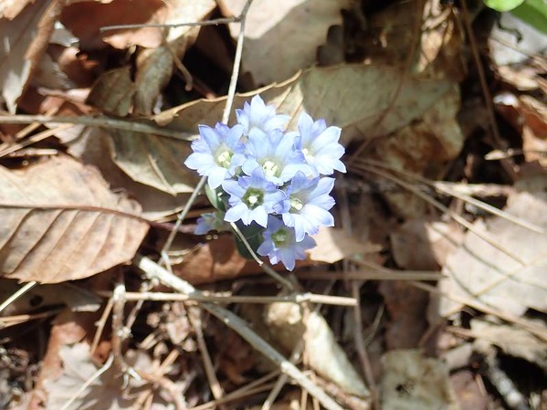 P5040248