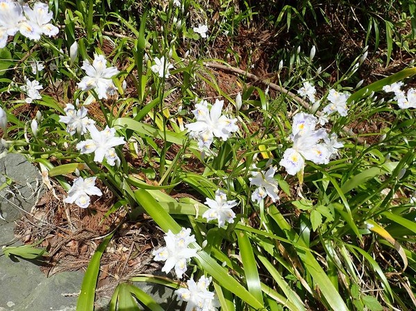 P5040328