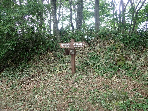 P8020049