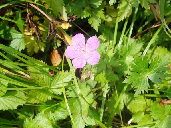 P9100120