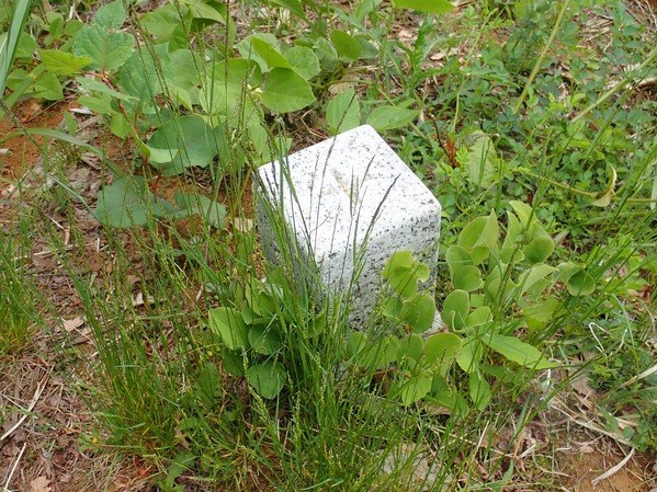 P5200041