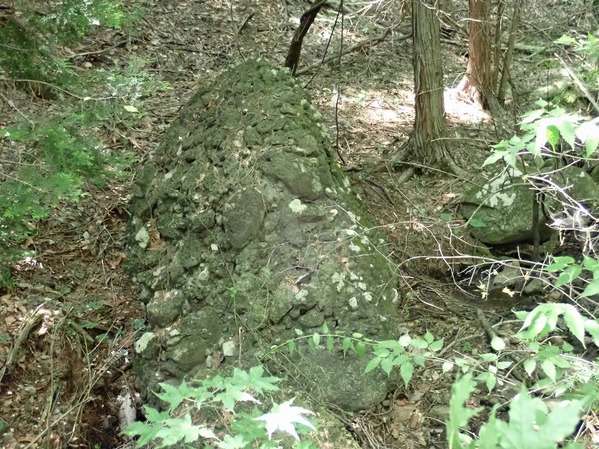 P6110153