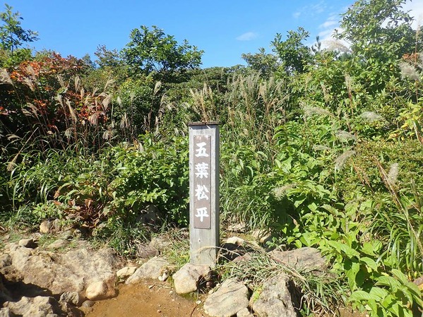 P9250026