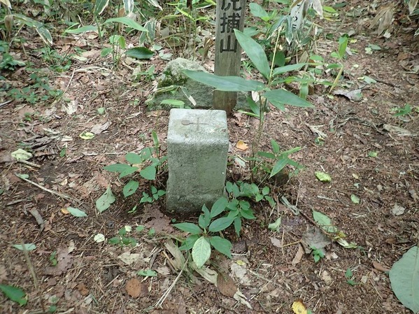 P7210061
