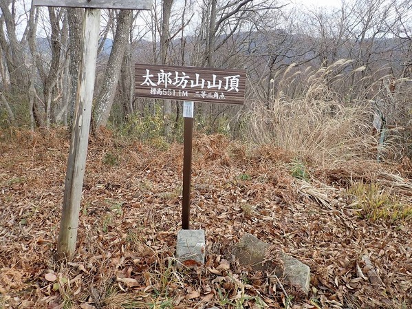 PC090041