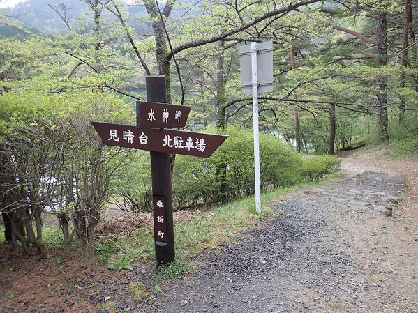 P5010069