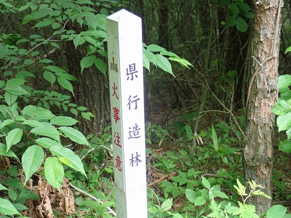 P6080115