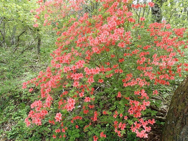 P5060123