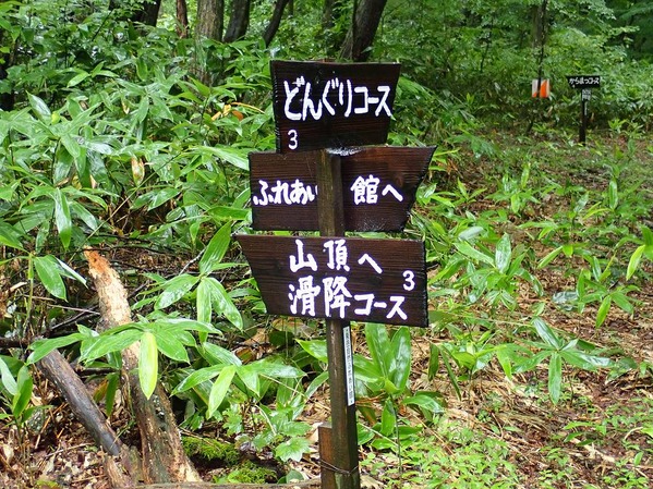 P9050012