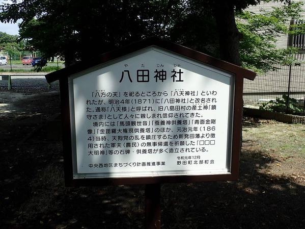 P7130031