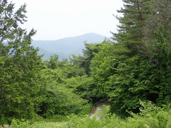 P6080040