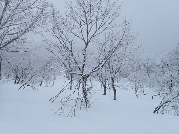oguni_08