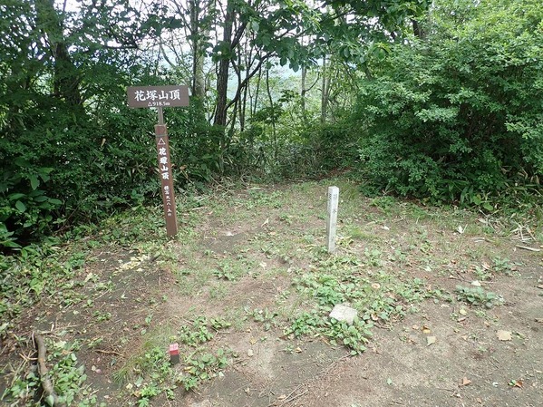 P8020070